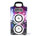 Sistema de alto-falante ativo amplificador HI FI / Manual Portable Speaker